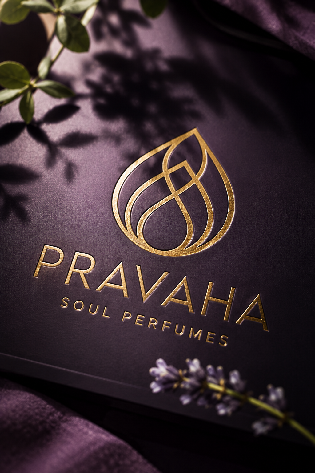 Affichage Pravaha