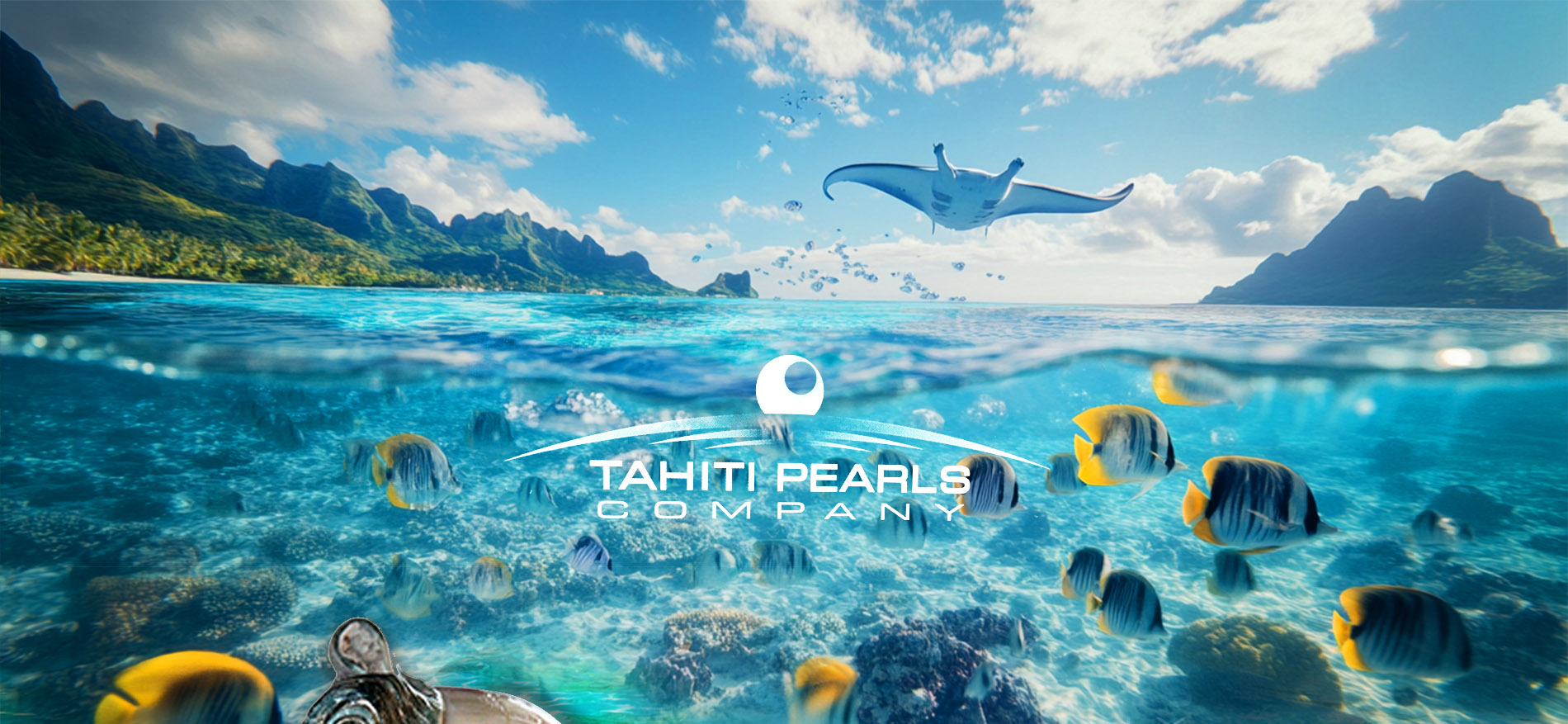 Tahiti Pearl Company visuel 1